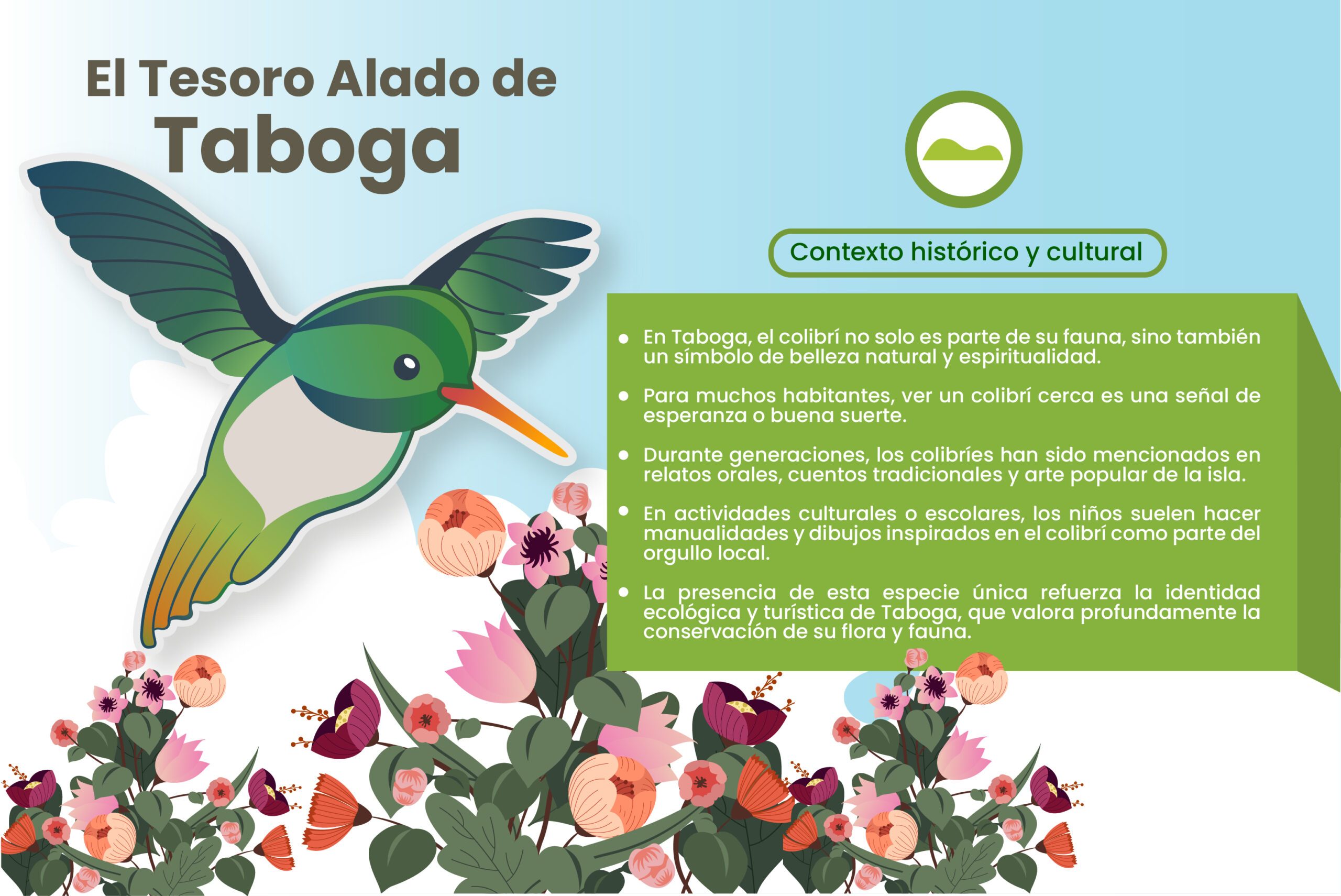 infografía de colibri2