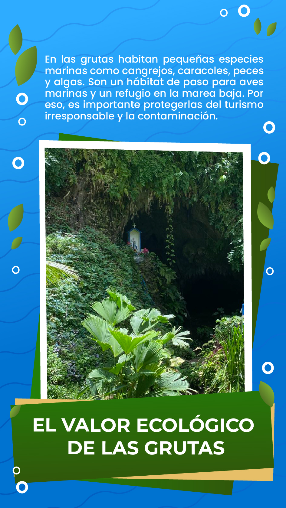 laminas sobre historia de las grutas 4